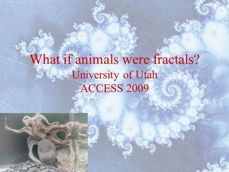 What if animals were fractals? University of Utah ACCESS 2009.