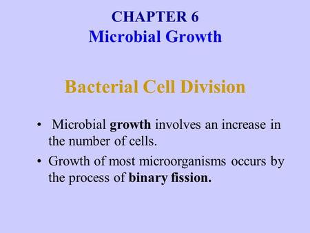 Bacterial Cell Division
