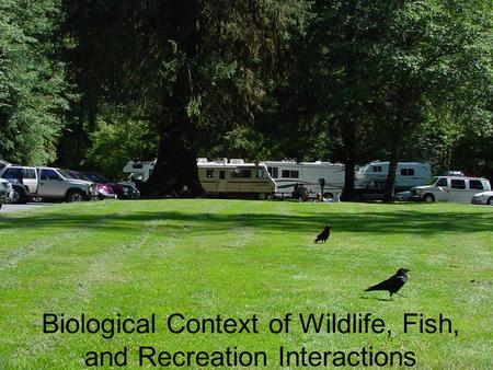Biological Context of Wildlife, Fish, and Recreation Interactions.