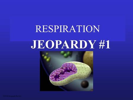 RESPIRATION JEOPARDY #1 S2C06 Jeopardy Review MitochondriaVocabMoleculesPathwaysMiscellaneous 100 200 300 400 500.