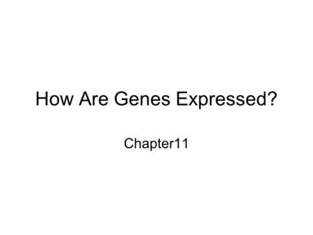 How Are Genes Expressed? Chapter11. DNA codes for proteins, many of which are enzymes. Proteins (enzymes) can be used to make all the other molecules.