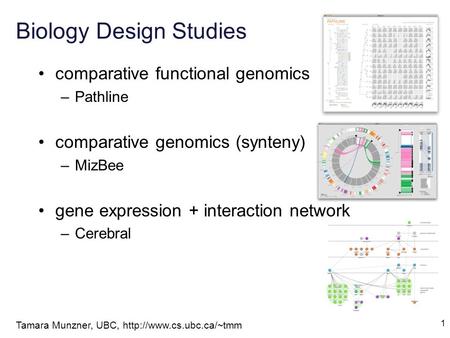 1 Biology Design Studies comparative functional genomics –Pathline comparative genomics (synteny) –MizBee gene expression + interaction network –Cerebral.