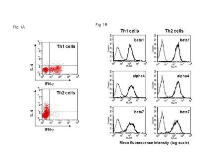 Th1 cellsTh2 cells beta1 beta7 alpha4 IFN-  IL-4 IFN-  IL-4 Th1 cells Th2 cells Mean fluorescence Intensity (log scale) Fig. 1A Fig. 1B.