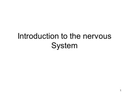 Introduction to the nervous System