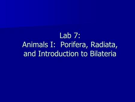Lab 7: Animals I: Porifera, Radiata, and Introduction to Bilateria.