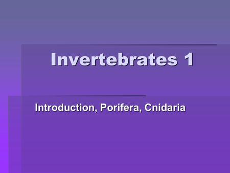 Invertebrates 1 Introduction, Porifera, Cnidaria.