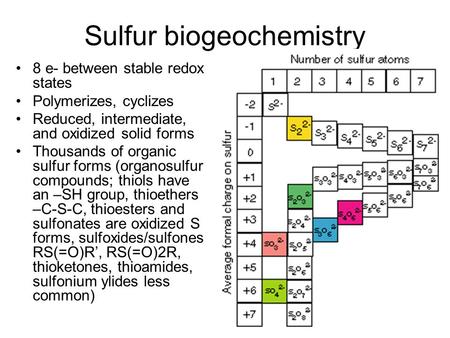 Sulfur biogeochemistry 8 e- between stable redox states Polymerizes, cyclizes Reduced, intermediate, and oxidized solid forms Thousands of organic sulfur.