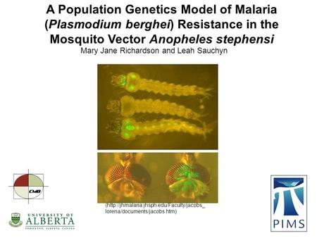 A Population Genetics Model of Malaria (Plasmodium berghei) Resistance in the Mosquito Vector Anopheles stephensi Mary Jane Richardson and Leah Sauchyn.