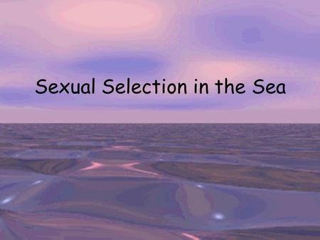 Sexual Selection in the Sea. Darwin’s postulates & evolution IF –Variation: phenotypic variation among individuals within population –Inheritance: some.