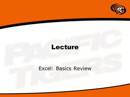 Lecture Excel: Basics Review. Anatomy of the Excel Window Name Box Formula Bar.