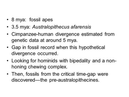 8 mya: fossil apes 3.5 mya: Australopithecus afarensis Cimpanzee-human divergence estimated from genetic data at around 5 mya. Gap in fossil record when.