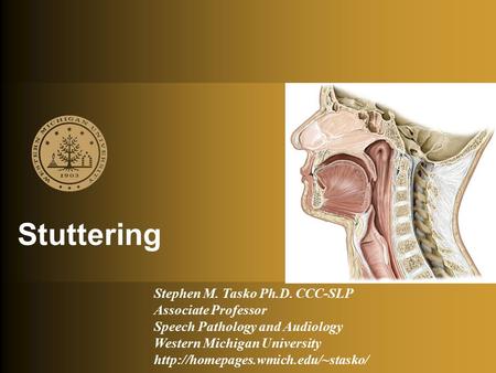 Stuttering Stephen M. Tasko Ph.D. CCC-SLP Associate Professor