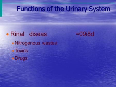 Functions of the Urinary System  Rinaldiseas=09i8d  Nitrogenous wastes  Toxins  Drugs.