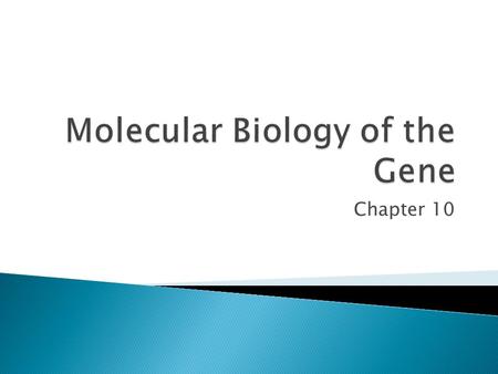 Chapter 10.  Biologists knew that genes were located on chromosomes  2 components of chromosomes: ◦ Protein & DNA  Proteins were in the lead ◦ Appeared.