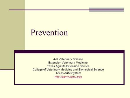 Prevention 4-H Veterinary Science Extension Veterinary Medicine Texas AgriLife Extension Service College of Veterinary Medicine and Biomedical Science.