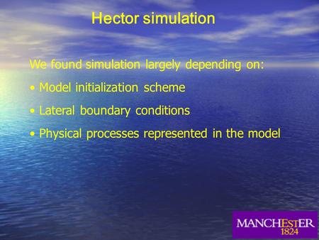Hector simulation We found simulation largely depending on: Model initialization scheme Lateral boundary conditions Physical processes represented in the.