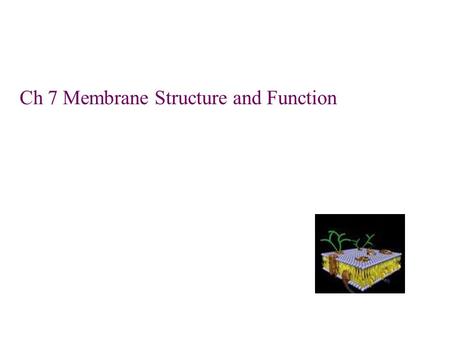 Ch 7 Membrane Structure and Function. - Boundary between intracellular compartments, living cells, and abiotic environment –Selectively permeable –Some.