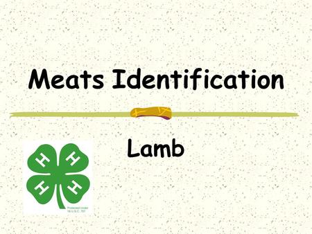 Meats Identification Lamb. Wholesale Cuts Leg Shoulder Loin Rib Breast Variety.