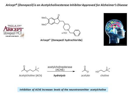 Aricept® (Donepezil) is an Acetylcholinesterase Inhibitor Approved for Alzheimer’s Disease Aricept® (Donepezil hydrochloride) Acetylcholine (ACh)acetatehydrolysis.