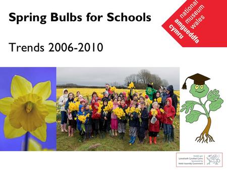 Spring Bulbs for Schools Trends 2006-2010. Take a closer look at the daffodil and crocus flowering dates between 2006 – 2010.