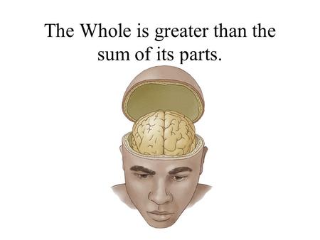 The Whole is greater than the sum of its parts. Meninges Protect brain from shock Provide buoyancy Infection: meningitis KW2-5.
