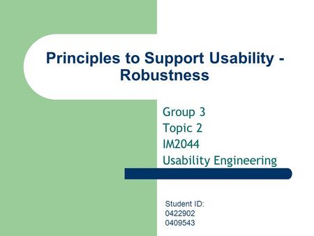 Principles to Support Usability - Robustness Group 3 Topic 2 IM2044 Usability Engineering Student ID: 0422902 0409543.