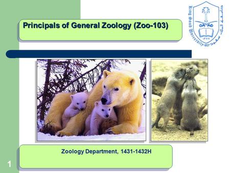 11 Principals of General Zoology (Zoo-103) Zoology Department, 1431-1432H.