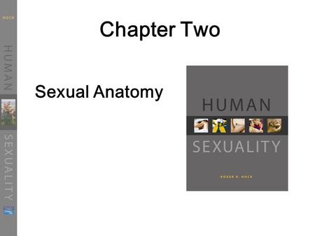 Chapter Two Sexual Anatomy.