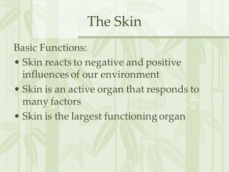 The Skin Basic Functions: Skin reacts to negative and positive influences of our environment Skin is an active organ that responds to many factors Skin.