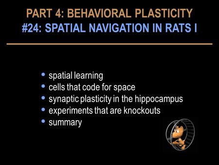 PART 4: BEHAVIORAL PLASTICITY #24: SPATIAL NAVIGATION IN RATS I
