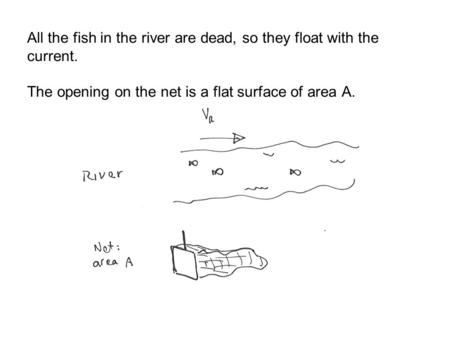 All the fish in the river are dead, so they float with the current. The opening on the net is a flat surface of area A.