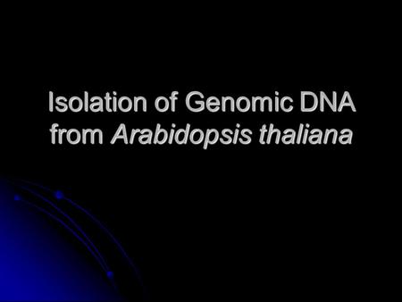 Isolation of Genomic DNA from Arabidopsis thaliana.