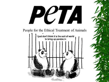 People for the Ethical Treatment of Animals. What is PeTA? *PeTA is an international nonprofit organization based in Norfolk, VA. *Founded in 1980, PeTA.