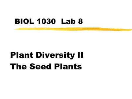 Plant Diversity II The Seed Plants
