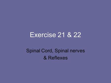 Spinal Cord, Spinal nerves & Reflexes