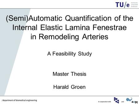 (Semi)Automatic Quantification of the Internal Elastic Lamina Fenestrae in Remodeling Arteries A Feasibility Study Master Thesis Harald Groen.