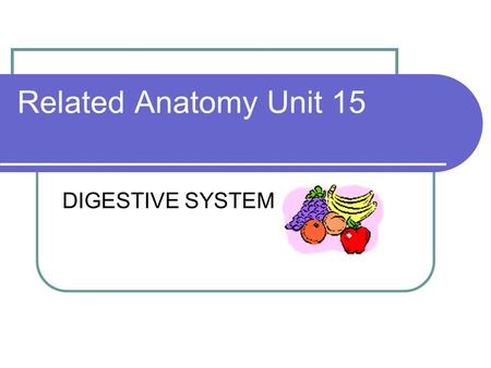 Related Anatomy Unit 15 DIGESTIVE SYSTEM 4 functions of DIGESTIVE SYSTEM 1. INGEST FOOD 2. BREAK DOWN FOOD - Digest 3. ABSORB NUTRIENTS 4. ELIMINATE.