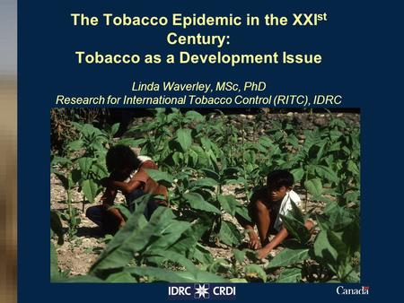 The Tobacco Epidemic in the XXI st Century: Tobacco as a Development Issue Linda Waverley, MSc, PhD Research for International Tobacco Control (RITC),