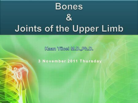 Joints of the Upper Limb