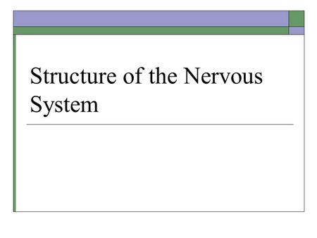 Structure of the Nervous System. Midterm Results.