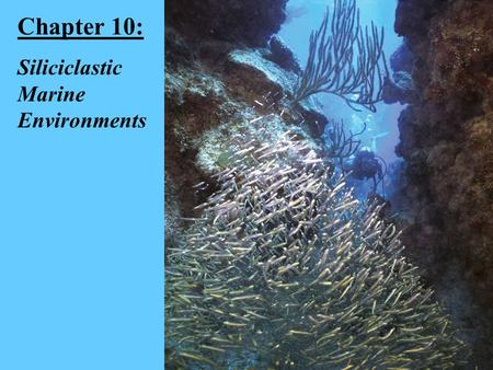 Chapter 10: Siliciclastic Marine Environments. The Shelf Environment.