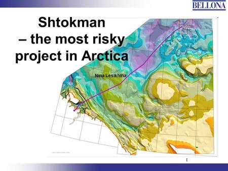 1 Shtokman – the most risky project in Arctica Nina Lesikhina.