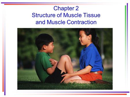 Chapter 2 Structure of Muscle Tissue and Muscle Contraction.