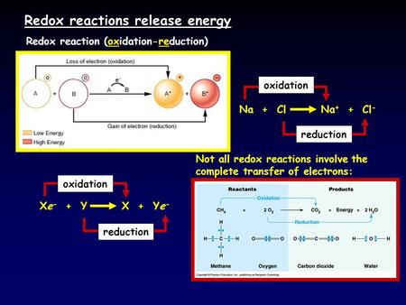 Redox reactions release energy Redox reaction (oxidation-reduction) Na + Cl Na + + Cl - oxidation reduction Xe - + Y X + Ye - oxidation reduction Not all.