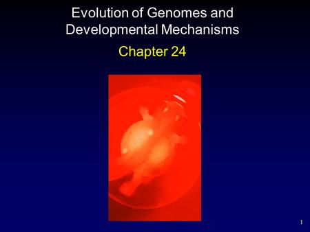 1 Evolution of Genomes and Developmental Mechanisms Chapter 24.