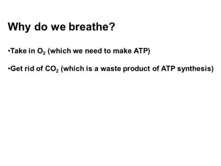 Why do we breathe? Take in O 2 (which we need to make ATP) Get rid of CO 2 (which is a waste product of ATP synthesis)