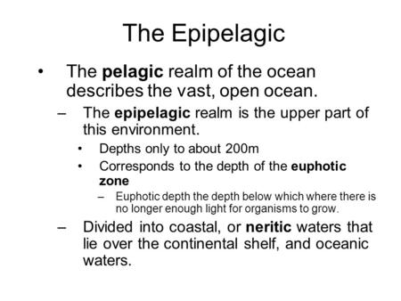 The Epipelagic The pelagic realm of the ocean describes the vast, open ocean. –The epipelagic realm is the upper part of this environment. Depths only.