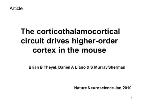 1 The corticothalamocortical circuit drives higher-order cortex in the mouse Brian B Theyel, Daniel A Llano & S Murray Sherman Nature Neuroscience Jan,2010.