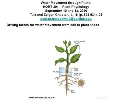 Water Movement through Plants HORT 301 – Plant Physiology September 10 and 13, 2010 Taiz and Zeiger, Chapters 4, 18 (p. 524-531), 23