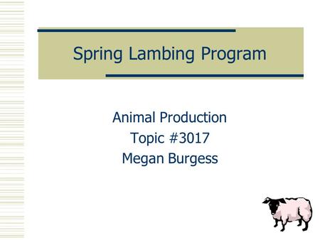 Spring Lambing Program Animal Production Topic #3017 Megan Burgess.